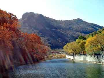 澳门期期准免费精准，风水师小说